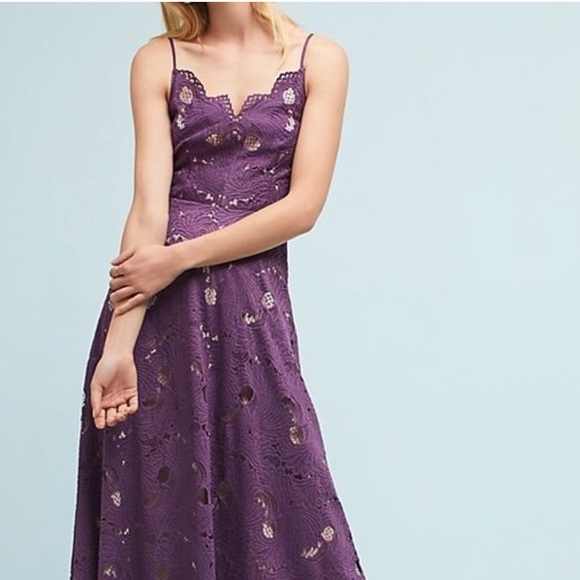 Anthropologie Dresses & Skirts - Anthropologie Purple Scalloped Lace Dress Anthropologie Dresses & Skirts - Anthropologie Purple Scalloped Lace Dress